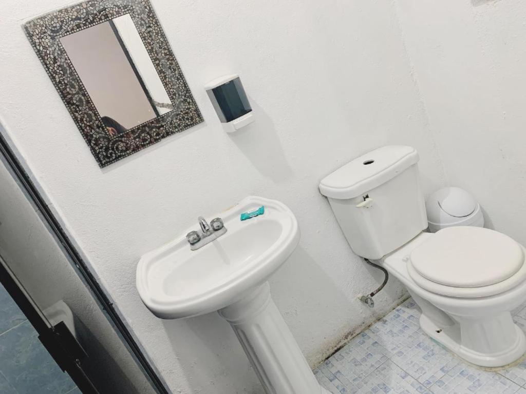 Hotel Mariam テコルトラ エクステリア 写真