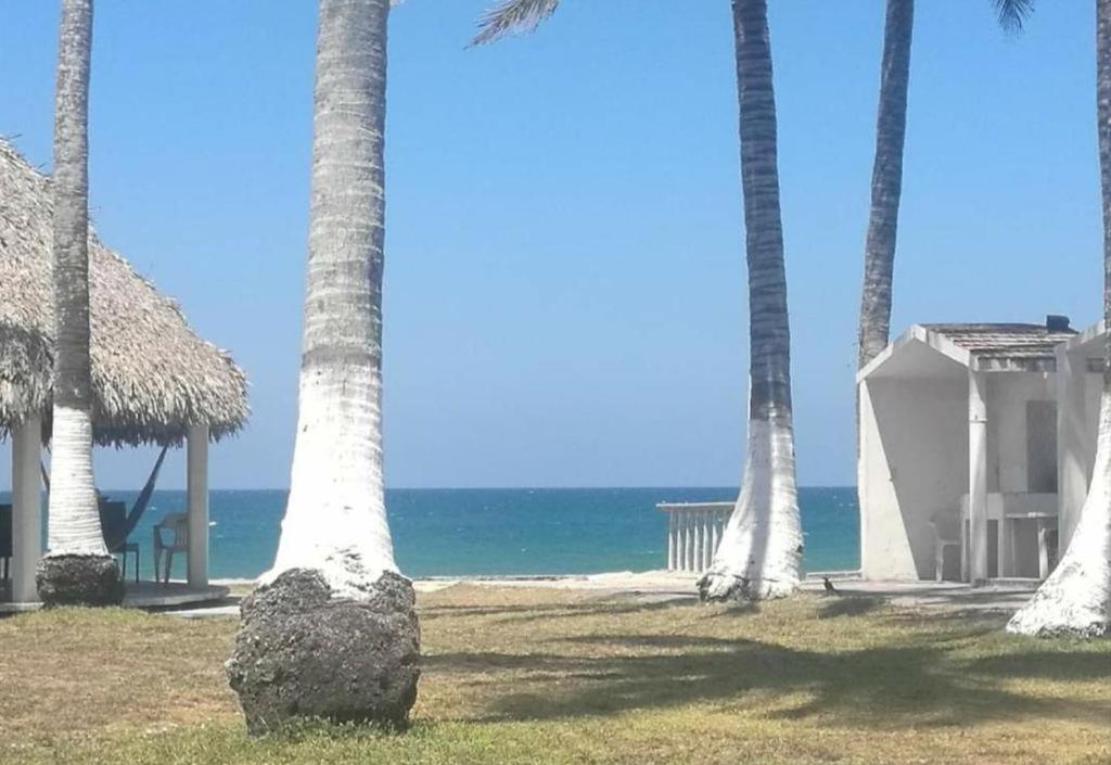 Hotel Mariam テコルトラ エクステリア 写真